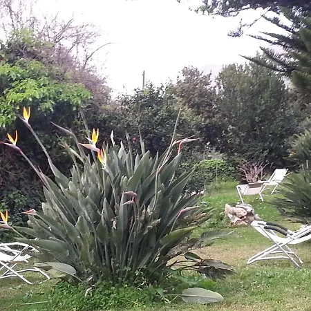 Casa Conigli Con Piscina Condivisa * Terrasini